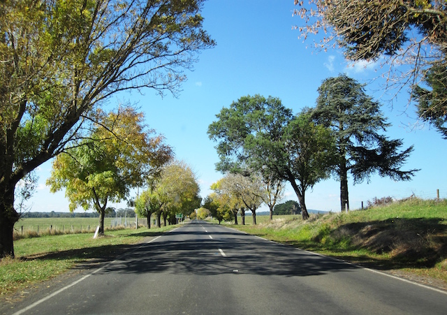 Road